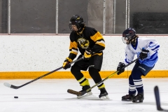 Bridges-Blades-2026-355