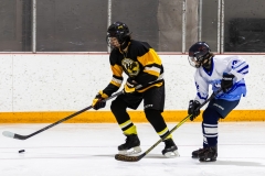 Bridges-Blades-2026-356