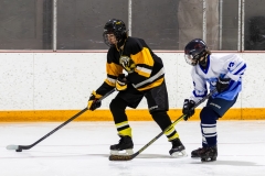 Bridges-Blades-2026-357