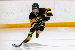 Bridges-Blades-2026-36