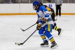 Bridges-Blades-2026-365