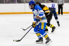 Bridges-Blades-2026-366