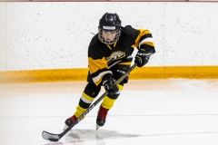 Bridges-Blades-2026-37