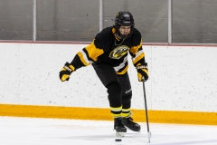 Bridges-Blades-2026-378