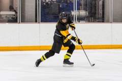 Bridges-Blades-2026-384