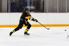 Bridges-Blades-2026-385