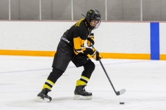Bridges-Blades-2026-397