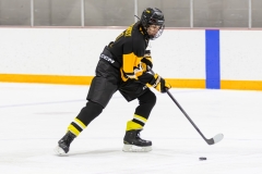 Bridges-Blades-2026-398