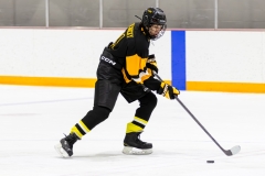 Bridges-Blades-2026-399