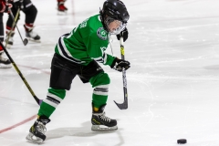 Bridges-Blades-2026-4