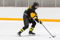 Bridges-Blades-2026-400