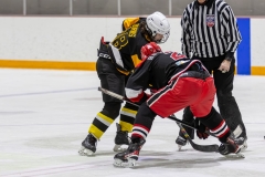 Bridges-Blades-2026-412