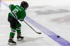 Bridges-Blades-2026-5