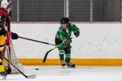 Bridges-Blades-2026-50