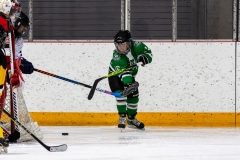 Bridges-Blades-2026-51