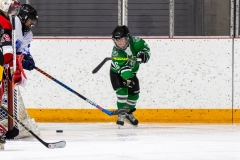 Bridges-Blades-2026-52