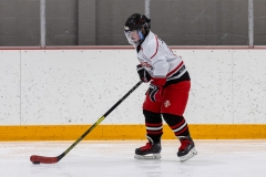 Bridges-Blades-2026-53