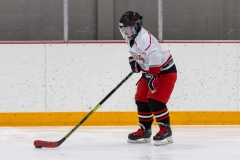 Bridges-Blades-2026-54
