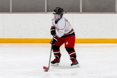 Bridges-Blades-2026-58