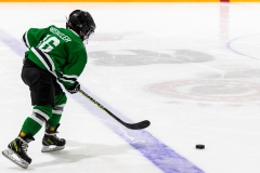 Bridges-Blades-2026-6