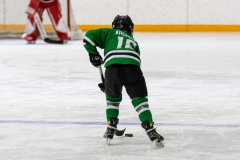 Bridges-Blades-2026-68