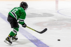 Bridges-Blades-2026-7