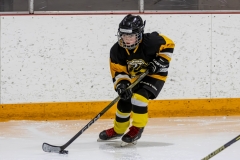 Bridges-Blades-2026-71