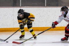 Bridges-Blades-2026-72