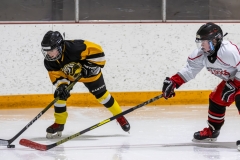 Bridges-Blades-2026-73