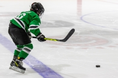 Bridges-Blades-2026-8