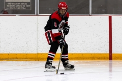Bridges-Blades-2026-81