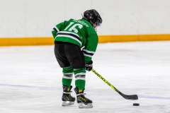 Bridges-Blades-2026-93