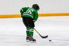 Bridges-Blades-2026-95